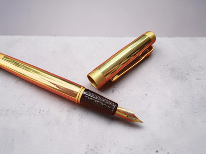 Dikawen  Gold Fountain Pen