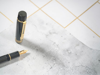 Dikawen No. 216 BK Fountain Pen with Gold Trim
