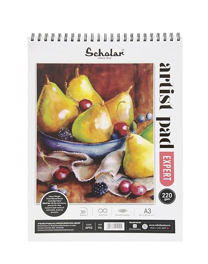 Scholar Artist Pad Expert