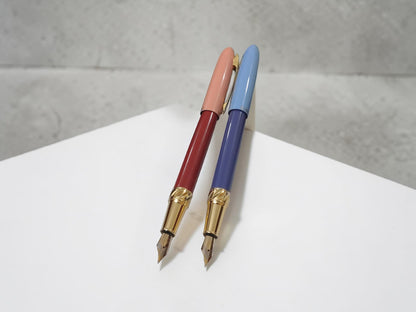 Dikawen No. 8080 Gold Trim Fountain Pen