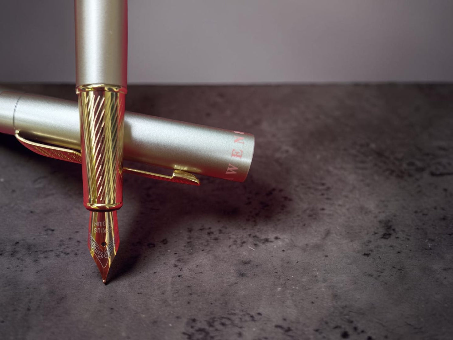 DIKAWEN Fountain Pen No. 8088 N-G