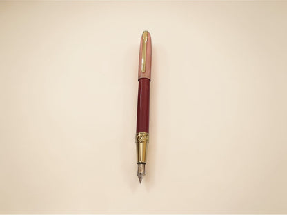 Dikawen No. 8080 Gold Trim Fountain Pen