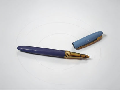 Dikawen No. 8080 Gold Trim Fountain Pen