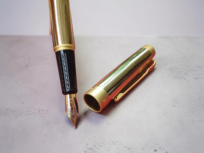 Dikawen  Gold Fountain Pen