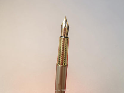 DIKAWEN Fountain Pen No. 8088 N-G