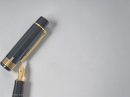 Dikawen No. 216 BK Fountain Pen with Gold Trim