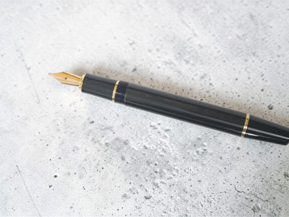 Dikawen No. 216 BK Fountain Pen with Gold Trim